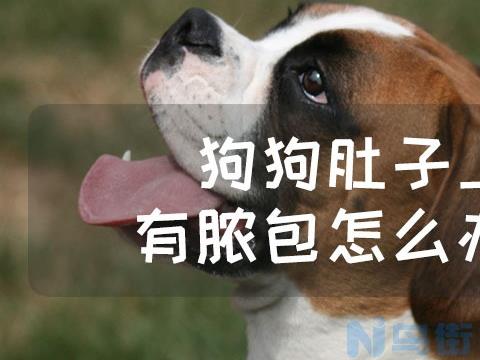 狗狗爪子缝隙红肿溃烂？