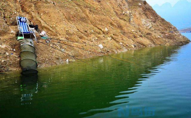 冬季钓淡水鲈鱼钓底还是钓浮