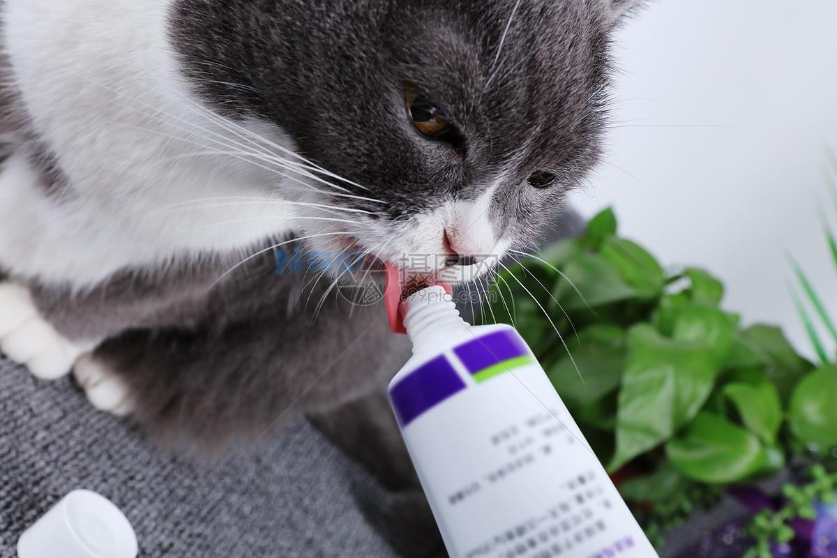 猫咪过量服用化毛膏？