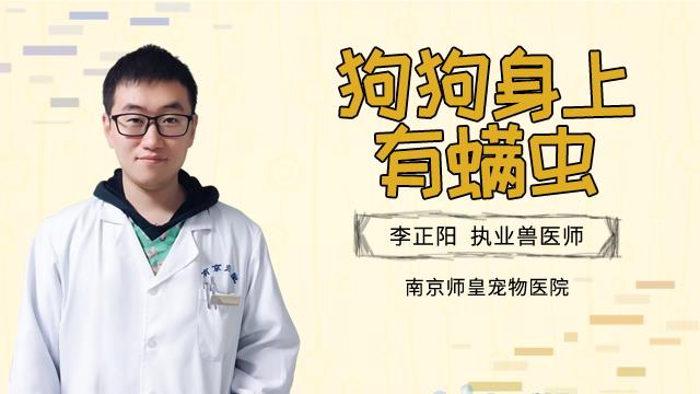 治疗狗狗螨虫用什么药最好？