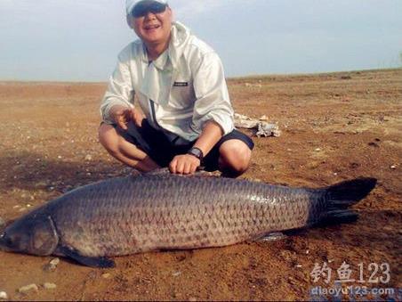 野钓青鱼什么天气最好