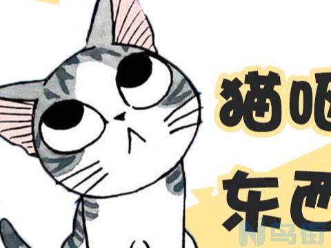 小猫吐黄水不吃东西？