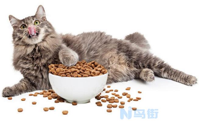 猫咪吃了冷藏的罐头有事吗？